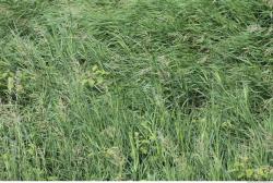 Photo Textures of Nature